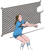 10 ft. High Volleyball Backstop/Barrier nets